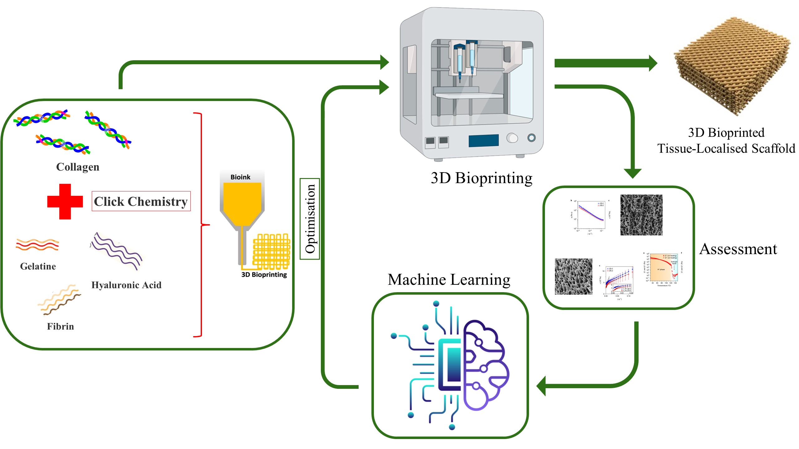Graphical abstract of AI-guided 3D bioprinting project